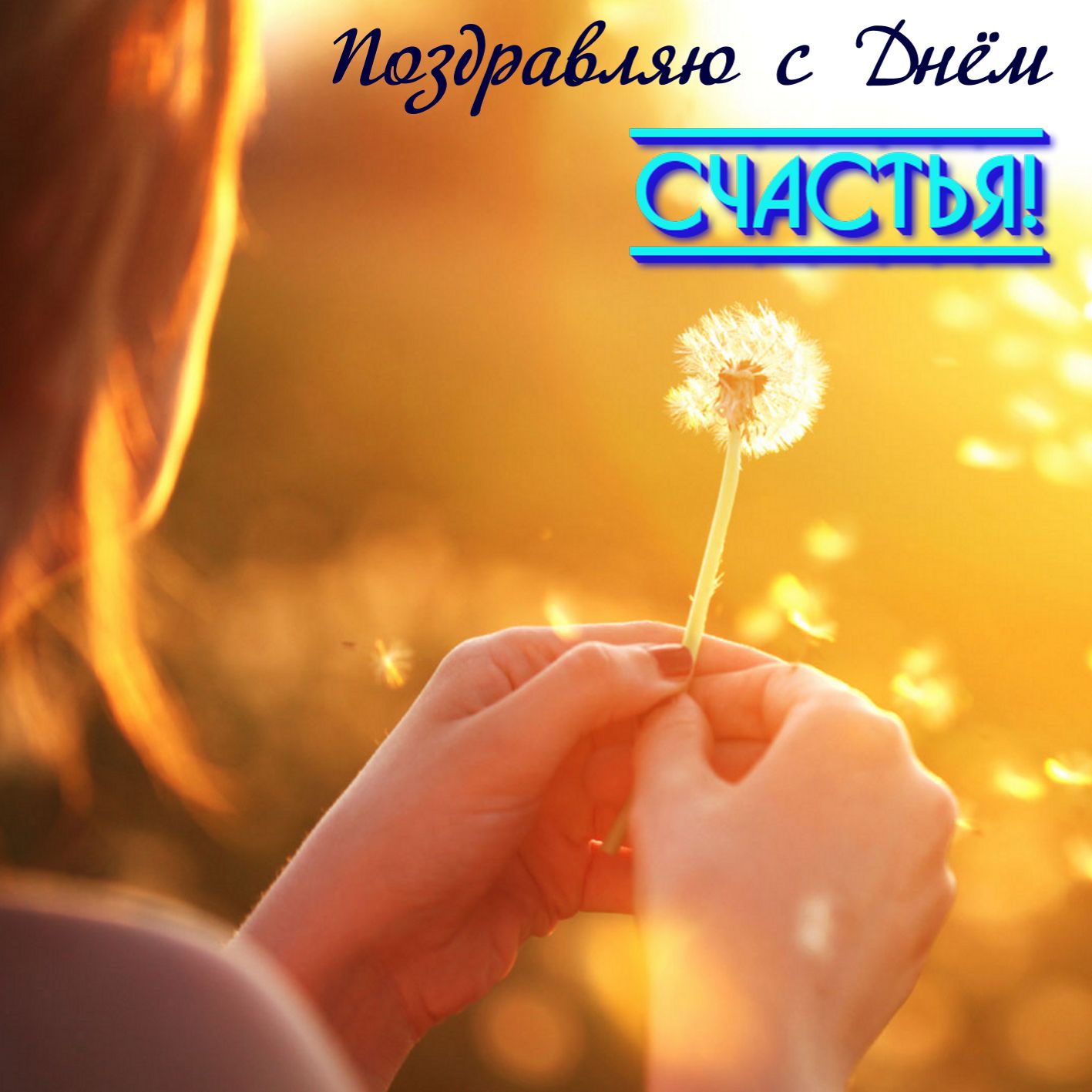 Открытка бабочка над желтым одуванчиком. Открытка яркого тебе дня с жёлтыми и...