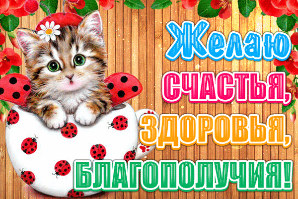 Открытки с пожеланием счастья, любви и благополучия. Картинки с пожеланиями б...