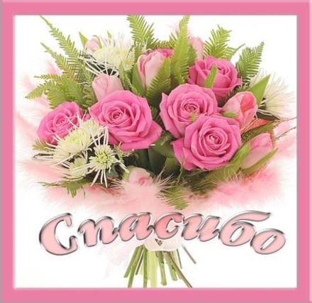 Открытки бело-розовые розы фото. Очень красивые Розовые розы на открытке.