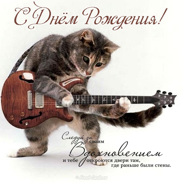 Смешные картинки котов с надписью. Смешные фото котов с приколами.