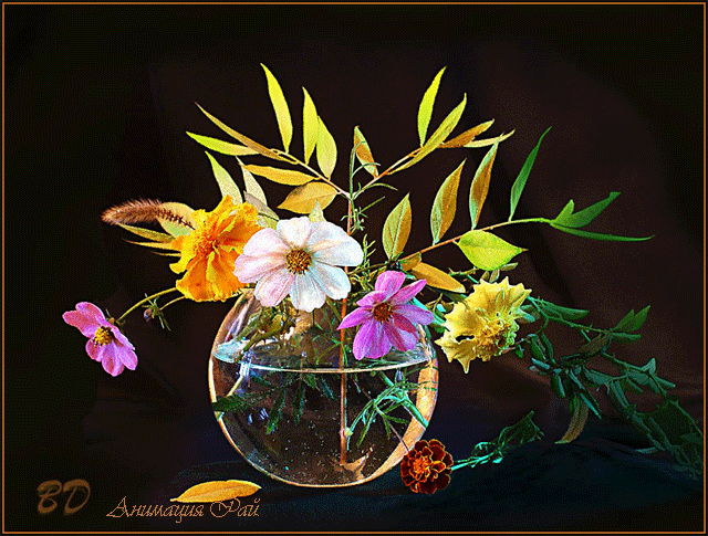 Картинка космеи. Открытка букет с космеями и другими цветами с бабочками стои...