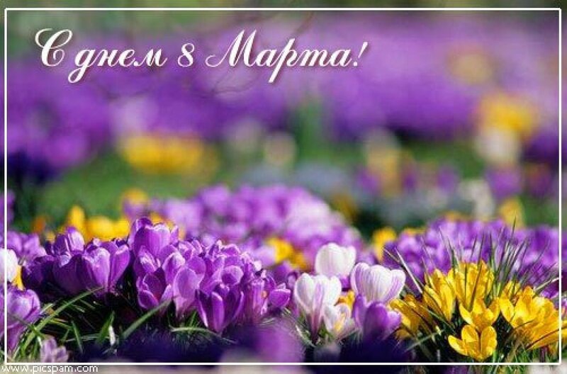 Открытка С Днём рождения С белым крокусом и фиолетовыми прожилками.