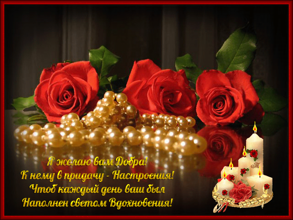 Поздравление с Днём Рождения тёще от зятя прикольные. С днём рождения тёща гиф.