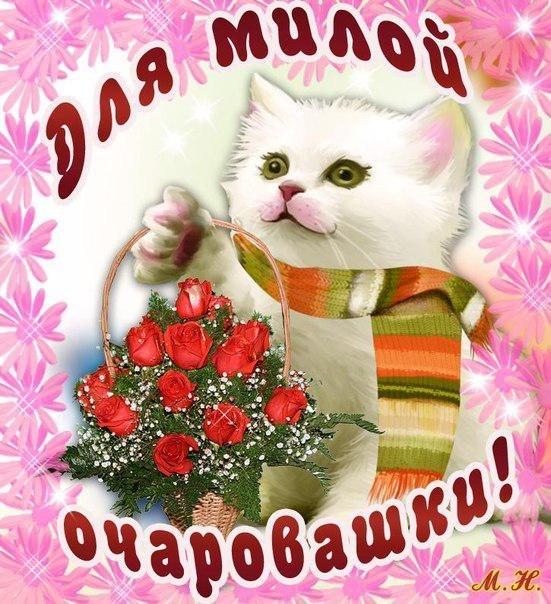 Картинки цветы для тебя. Картинки кофе для тебя. Картинки красивые цветы для ...