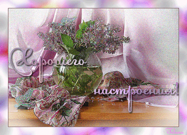 Открыткам Пусть запах любимой сирени, ностальгии пройдется по душам.