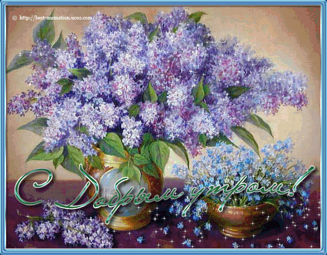 Картинки С днём рождения с сиренью. Фото сирень в цвету. Красивый букет сирени.