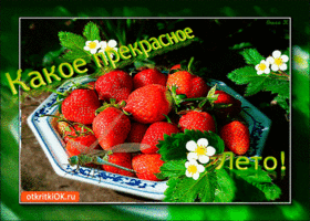 Открытки с приколами про лето. Открытки про лето прикольные.