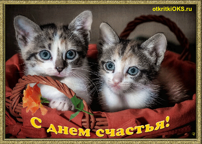 Мерцающая открытка с днём счастье.  Анимационная открытка с днем счастья.