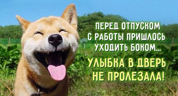 Хорошего отдыха гиф. Картинки хорошего отдыха зимой. Хорошего лета.