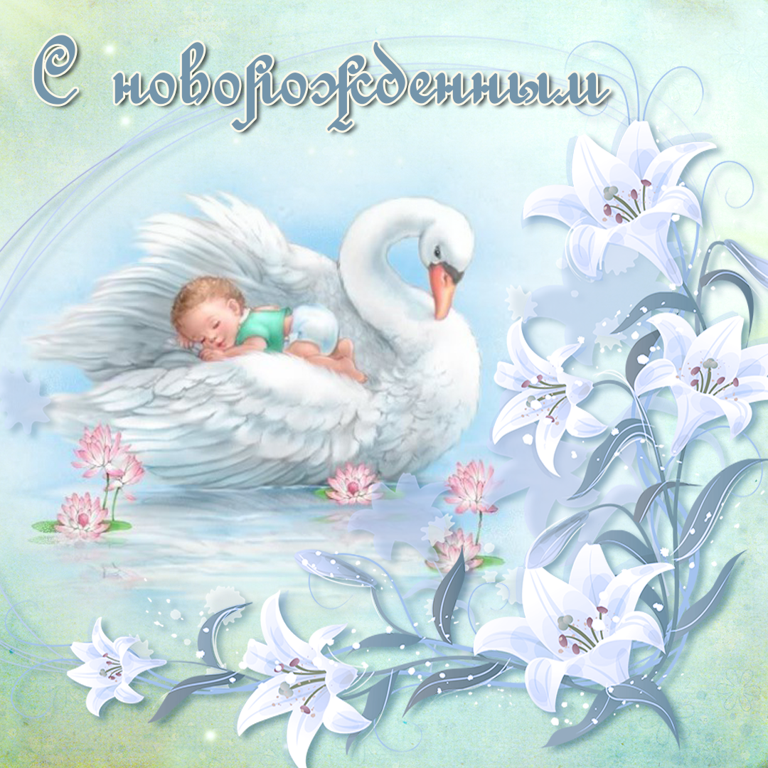 Картинка поздравляю с новорожденным. Картинка с новорожденным.