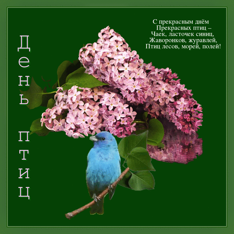 Красивая открытка с природой и птицами. Открытка 1 апреля птичий праздник.