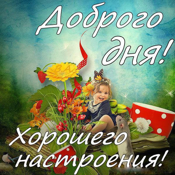 Открытка уютного дня. Открытка хорошего дня! Открытка Доброго денечка