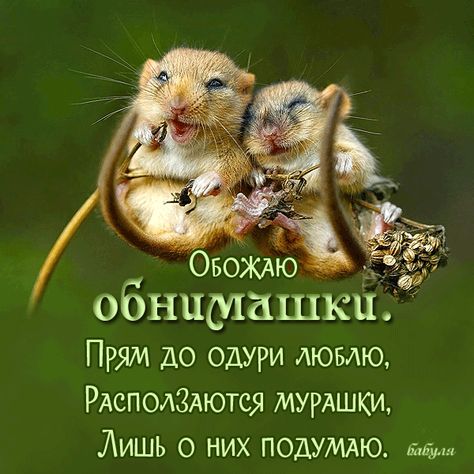 Картинки скучаю обнимаю. картинки обнимаю нежно. Картинки гифки Люблю целую о...