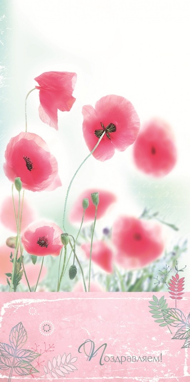 Ретро открытка ко Дню рождения с красными маками, васильками, ромашкой и клев...