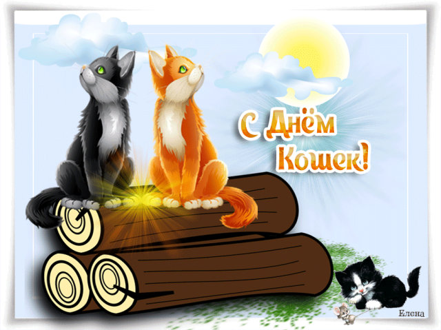 День кошек приколы. Всемирный день кошек открытки. День кошек 8 августа поздравления. С днём кошек картинки.
