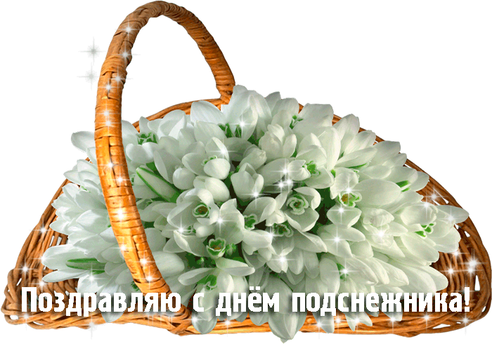 Открытки гиф подснежники. Картинки на день подснежника. Гиф картинки с днем п...