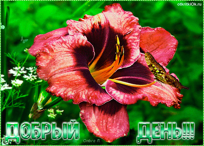 Открытка Доброго денечка! Открытки со стихами пожеланиями доброго дня.