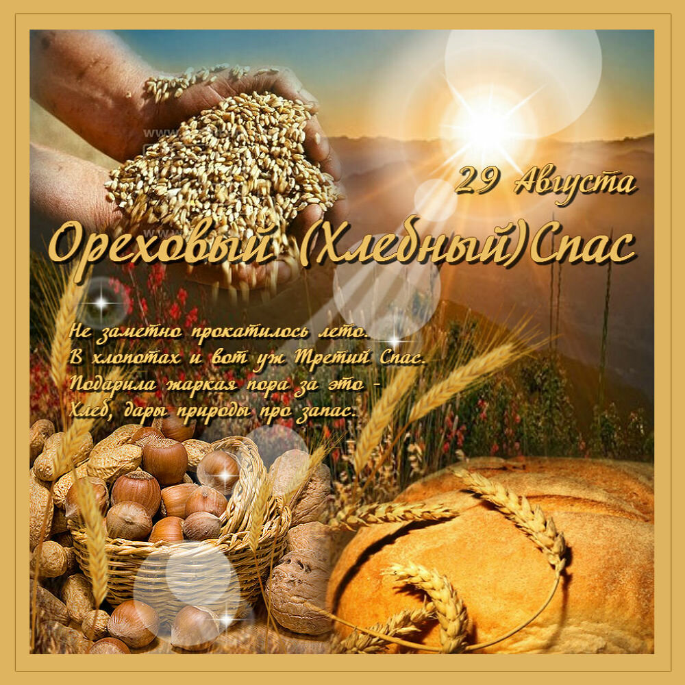 Стишки Про Орешки