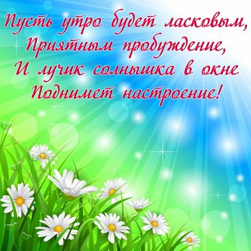 Картинки с ромашками. Картинки Спокойной ночи с ромашками.  