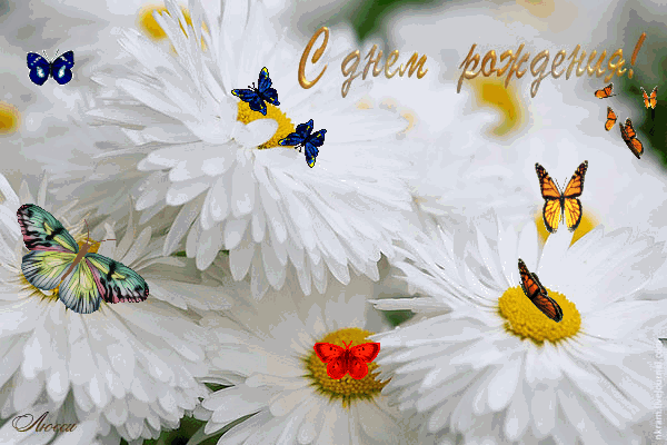 Открытка с днем рождения с ромашками. Открытка с днем рождения женщине с рома...