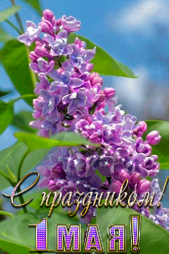 Открытка чтоб смех твой слышался всегда, цветов, улыбок, солнца и тепла! 