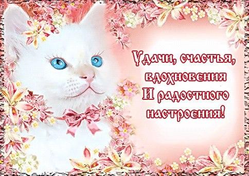 Прикольные картинки удачи. Анимационные картинки Желаю удачи. 