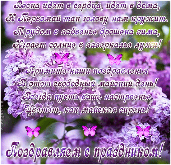 Красивые картинки с сиренью. Анимационные картинки с сиренью.