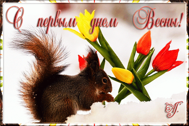 Открытка поздравление С первым днем весны. Открытка анимация С первым днем ве...