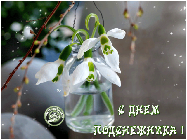 Открытка с днем подснежника. Открытка с днем рождения подснежники.