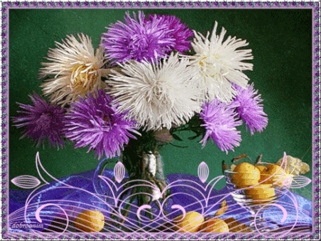 Открытки мерцающие бабочка с астрой. Открытки с букетом остров ко дню рождения.