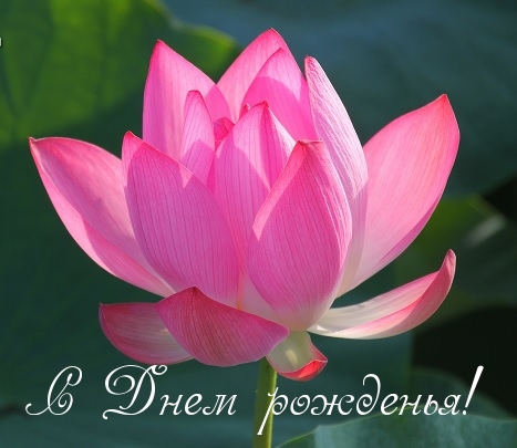 Открытка водная лилия или Лотос. Открытка к чистому четвергу с цветами лотоса...