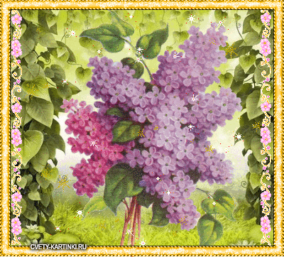 Открытка сирень своими руками. Фото сирени. Открытки С днём рождения с сиренью.