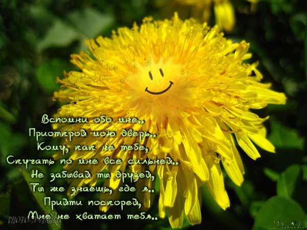 Открытки ретро ко дню рождения воробей с одуванчиком и земляникой. Открытка р...