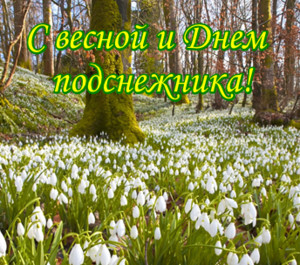 Показать открытки с Днем подснежника. Открытки поздравления с днем подснежника.