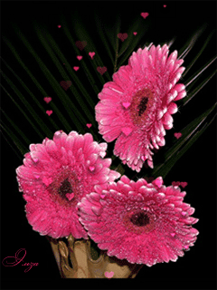 Открытка мерцающая 3 гербера оранжевый, розовый, и ярко малиновый Гербер.