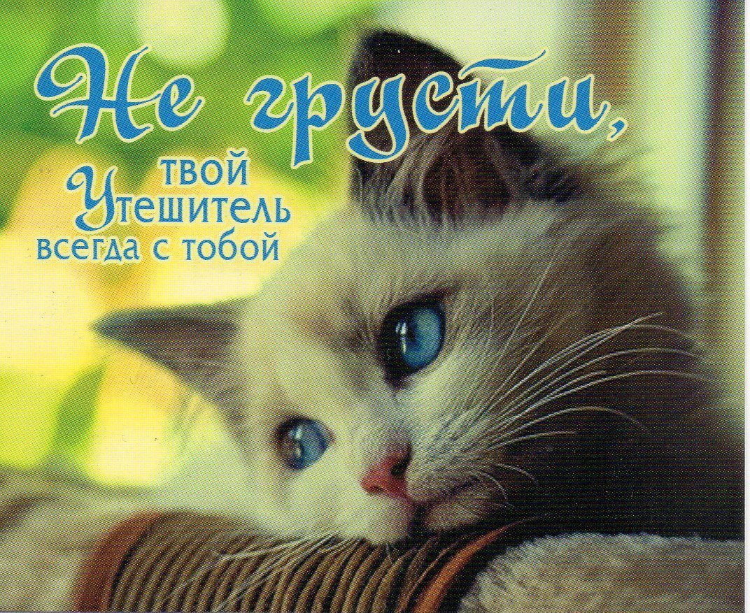 Открытка выше нос! Открытка солнышко Не грусти! Открытка с щенком не грусти.