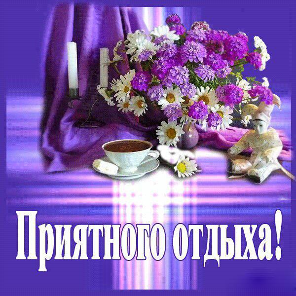 Смешные картинки после отпуска. Картинки отдых  к на природе.