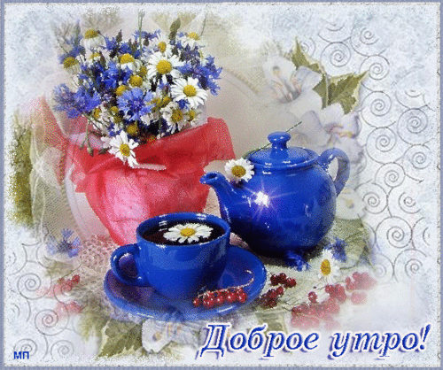 Картинки с васильками и ромашками. Красивые картинки с васильками.