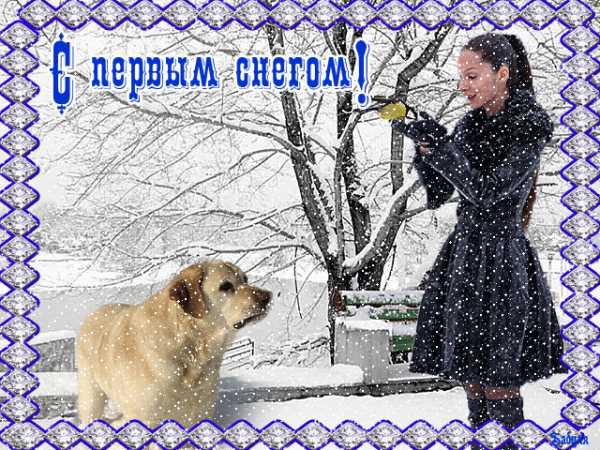 С первым снегом анимационная картинка. С первым снегом приколы. 