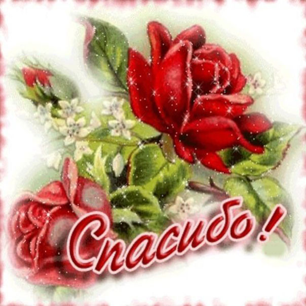 Картинки со словом Спасибо. Картинки Спасибо за внимание смешные.