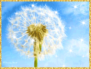 Одуванчик картинка для детей. Фото одуванчика Одуванчики фотообои.