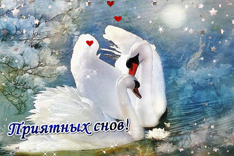 Открытка  открытка к международному Дню семьи с лебедем. Открытка Два лебедя ...