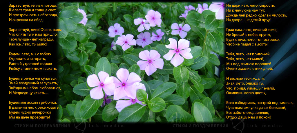 Открытки стихи про лето короткие. Открытки стихи про лето для детей 10 лет.