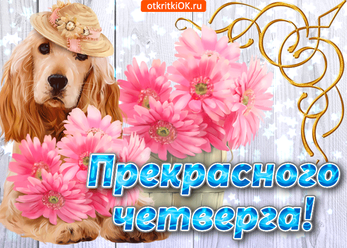 Открытка доброго четверга открытка четверг анимация. Открытки про четверг.