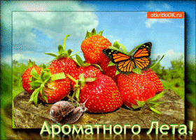 Картинки лето. Красивые открытки лето. Открытки и картинки лето.