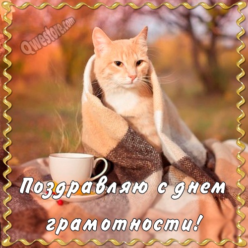 Открытка с анимацией день грамотности. Открытки с совами на день грамотности.