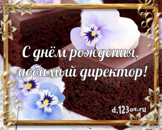 С днём рождения начальнице. Открытки С днём рождения начальнику женщине скача...