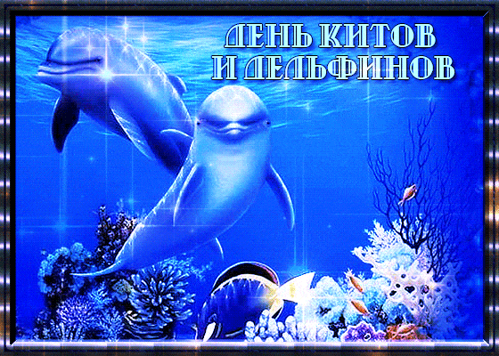 Картинки открытки дельфины на закате. Красивые открытки дельфинов.