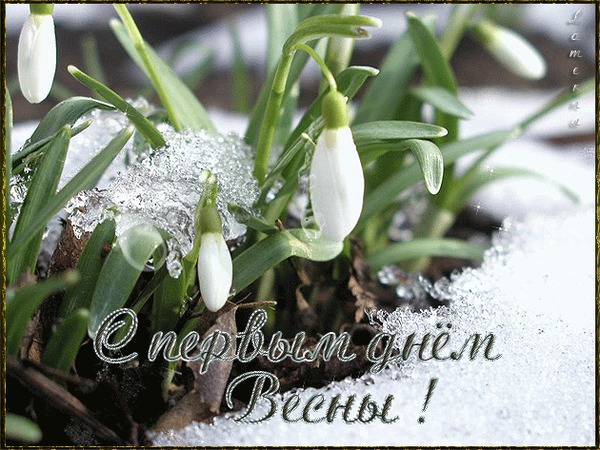 Открытки С первым днем весны для мужчин. Открытки С первым днем весны для фор...