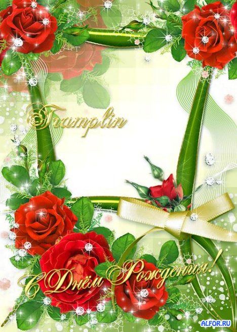 Красивые розы фото. Картинки розы красные. Розы фото скачать.